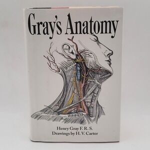 Henry Gray Gray's Anatomy Hardcover Barnes & Noble 1995 Illustrated Good